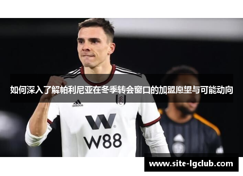 如何深入了解帕利尼亚在冬季转会窗口的加盟愿望与可能动向 如何深入了解帕利尼亚在冬季转会窗口的加盟愿望与可能动向